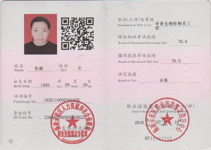 技术证书