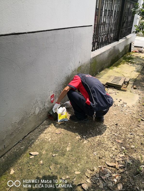 固定陶瓷毒饵站