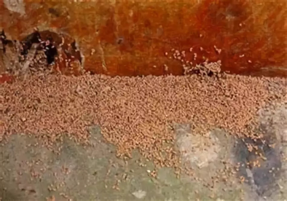 1558594517.jpg
