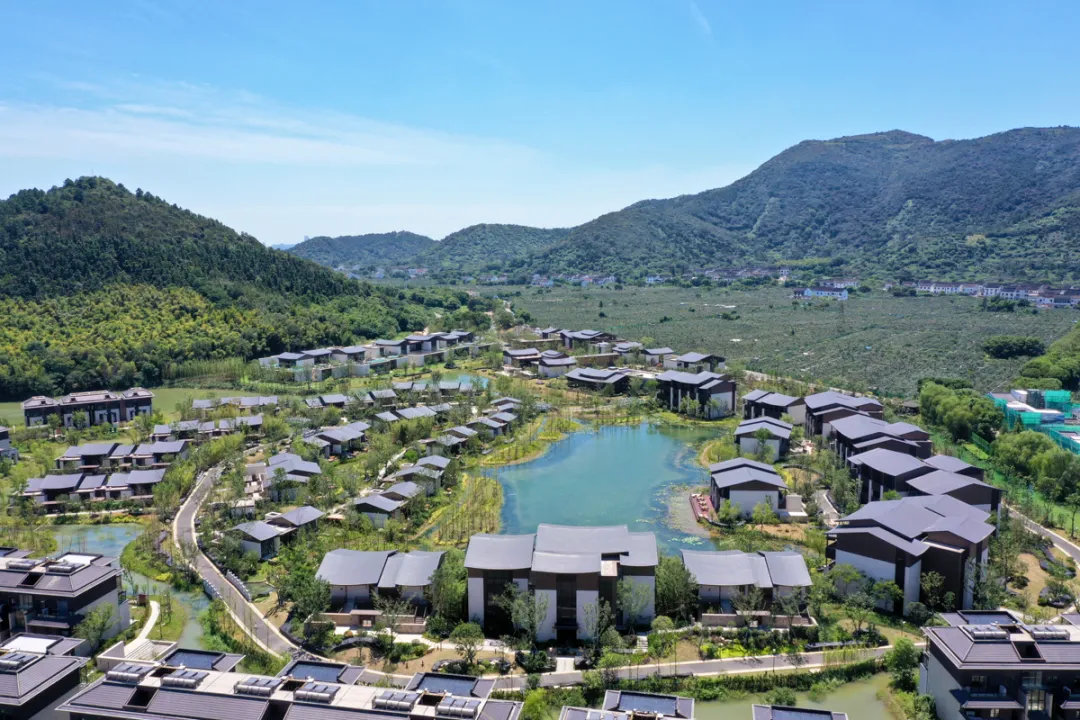 苏州都喜.jpg